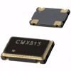 Picture of CWX813-025.0M